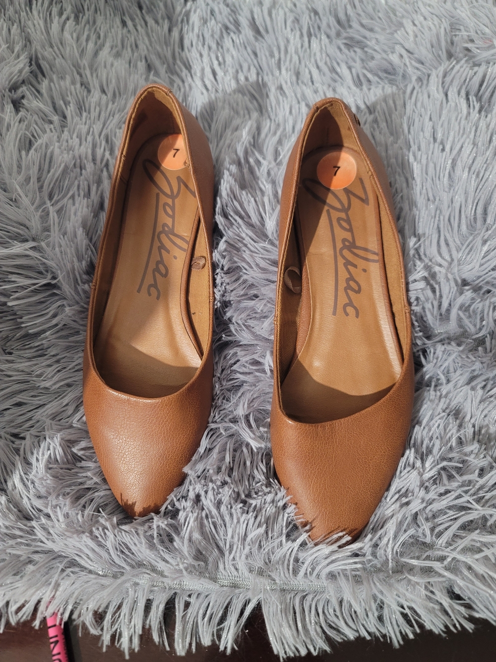 Zodiac Brown Pointed-Toe Ballet Flats